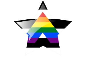 Straight Ally Flag Star Icon flag