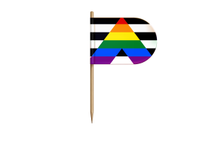 Straight Ally Flag for Desk, Table flag
