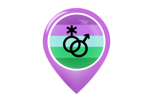 Toric Flag Map Pin Icon flag