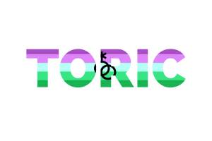 Toric Text Art flag