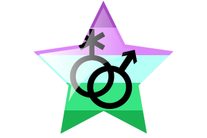 Toric Flag Star Icon flag