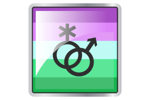 Toric Flag Square icon flag
