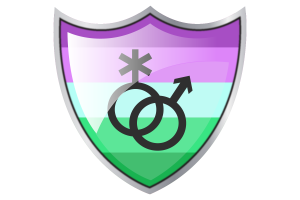 Shield with Flag of Toric flag