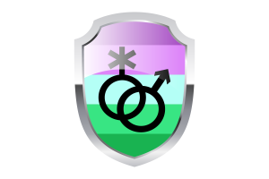 Toric Shield Logo flag