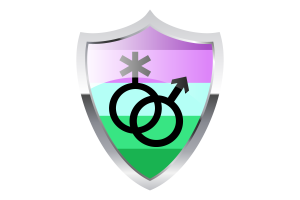 Toric Flag with Medieval Heater Shield flag