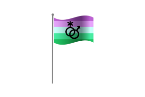 Waving Flag of Toric flag