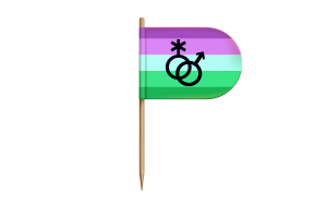 Toric Flag for Desk, Table flag