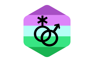 Toric Flag Rounded Hexagon Shape flag