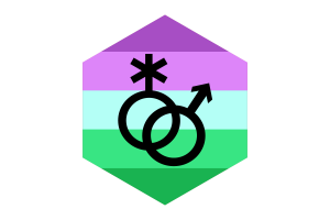 Toric Flag Hexagon Shape flag