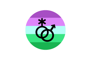 Toric Flag Circle Vector Free flag