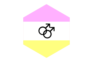 Twink Flag Hexagon Shape flag