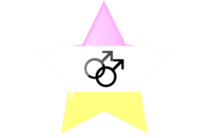 Twink Flag Star Icon flag