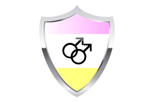 Twink Flag with Medieval Heater Shield flag