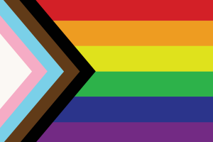 Bandiera di Inclusivo flag