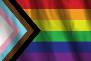 Bandiera Nazionale di Inclusivo flag