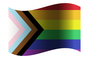 Bandiera Inclusivo flag