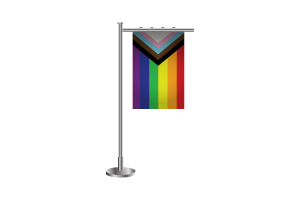 Bandiera Inclusiva in 3D flag