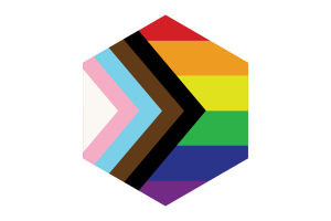 Forma Esagonale della Bandiera Inclusiva flag