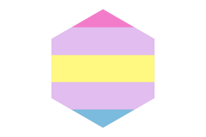 Drapeau Aporagender forme hexagone flag