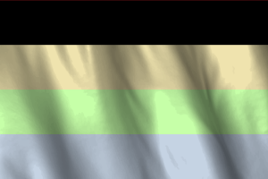 National Flag of Cassgender flag