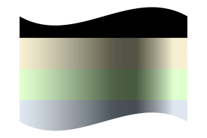 Cassgender Flag flag