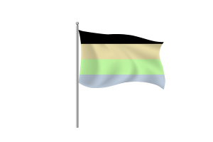 Cassgender Flag symbol flag