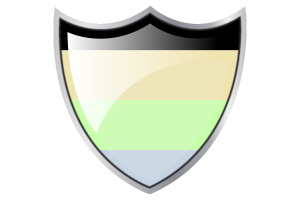 Shield with Flag of Cassgender flag