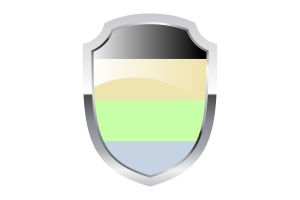 Cassgender Shield Logo flag