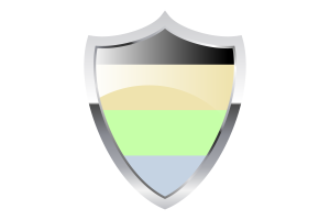 Cassgender Flag with Medieval Heater Shield flag