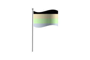 Waving Flag of Cassgender flag