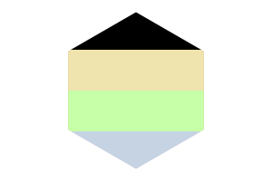 Cassgender Flag Hexagon Shape flag