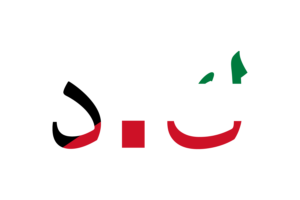 Kuwait Currency icon flag