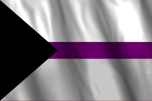 National Flag of Demisexual flag
