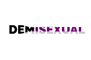 Demisexual Text Art flag
