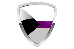 Demisexual Shield Flag flag
