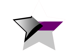 Demisexual Flag Star Icon flag
