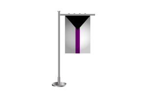 3d Demisexual Standing Flag flag