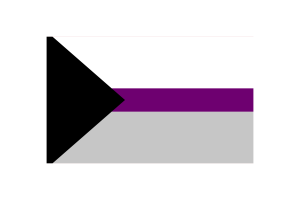 Demisexual Flag Vector Illustration flag