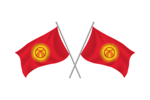 Kyrgyzstan Waving Friendship Flag flag