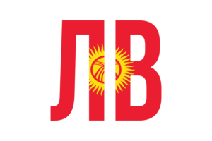 Kyrgyzstan Currency icon flag