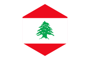 Lebanon Flag Hexagon Shape flag