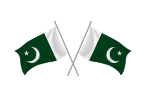 Pakistan Waving Friendship Flag flag