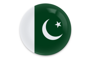 Pakistan Flag Vector Art flag