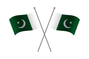 Pakistan Friendship Flag flag
