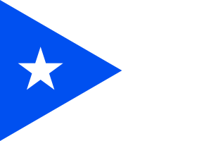 Emblem of Puerto Rico flag