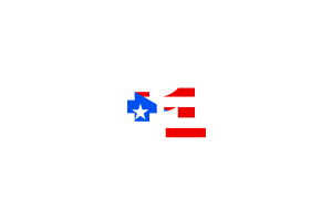 Puerto Rico Area Codes flag