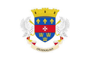 Flag of Saint Barthélemy flag