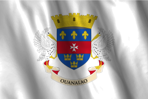 National Flag of Saint Barthélemy flag