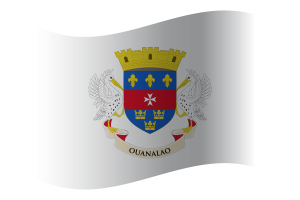 Saint Barthélemy Flag flag