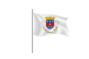 Saint Barthélemy Flag symbol flag